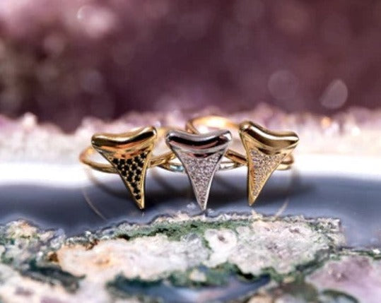 Shark Tooth Jewelry by Nogu x Lauren Howe
