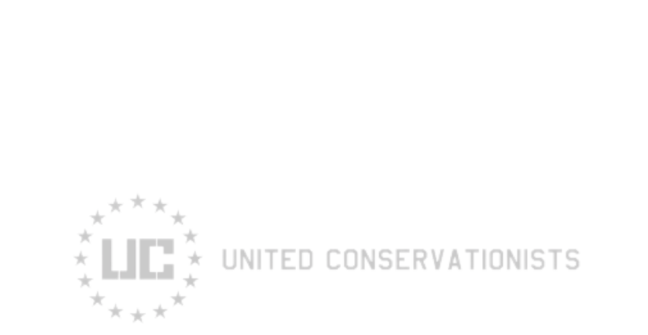 Rob Stewart Sharkwater ​Foundation